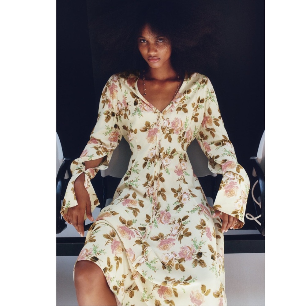 ZARA print dress
